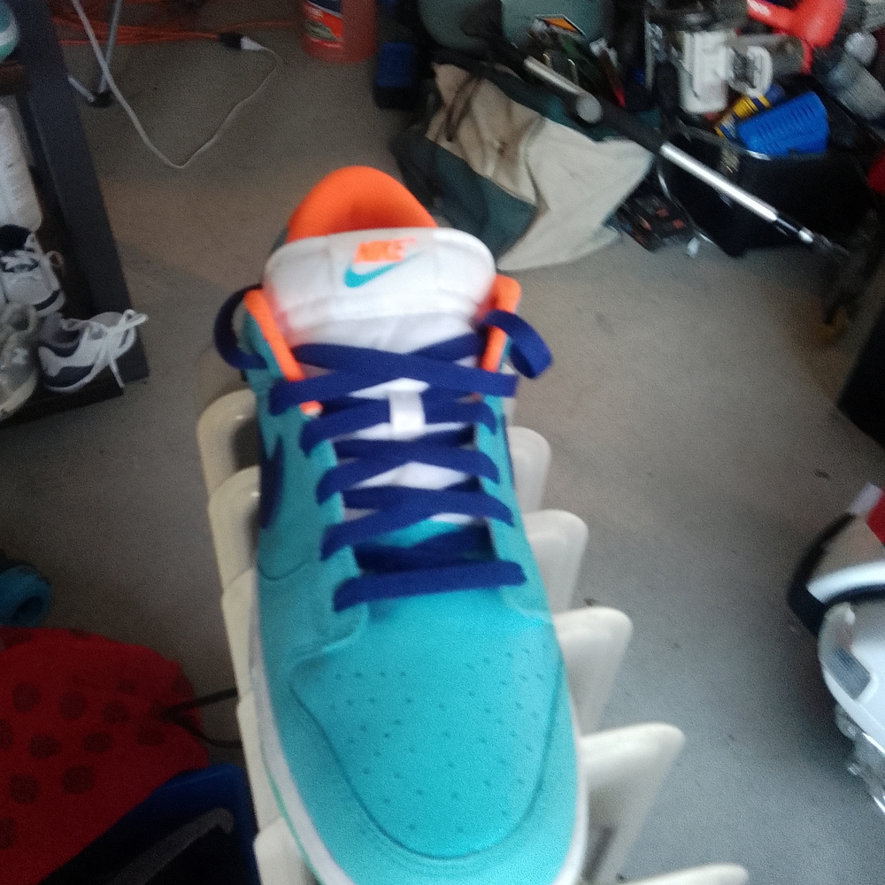 Nike Dunk Low Men Teal and Orange Sneakers